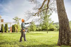 Best Emergency Tree Removal  in Ethete, WY